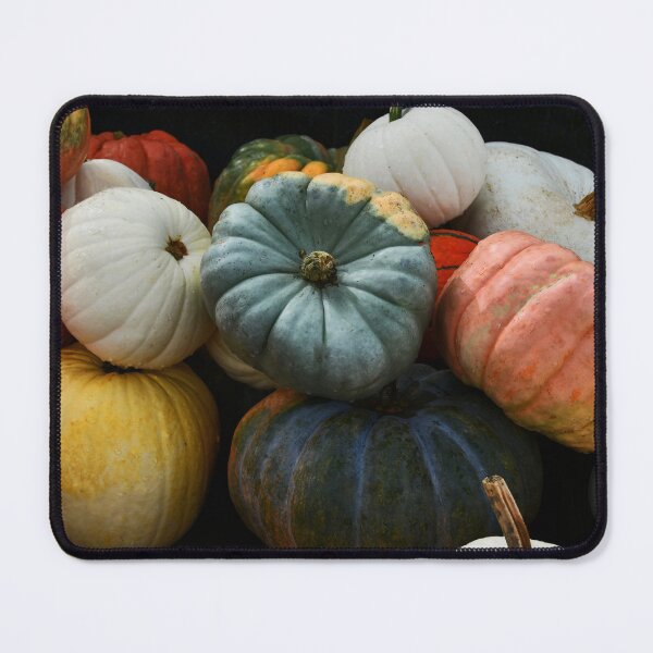Item preview, Colorful gathering of Pumpkin Gourds designed and sold by Poete100.