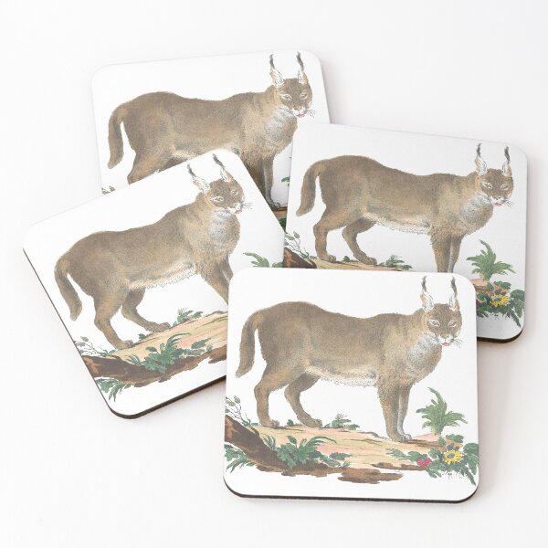 Item preview, Lynx Standing in Dirt with Flowers Vintage Chromolithograph Innocente Alessandri Painting Animal Lover Gift designed and sold by ElegantTeaTime.