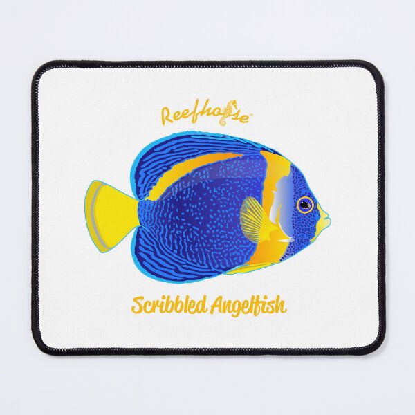 Item preview, Scribbled Angelfish designed and sold by KaplanCrypto.