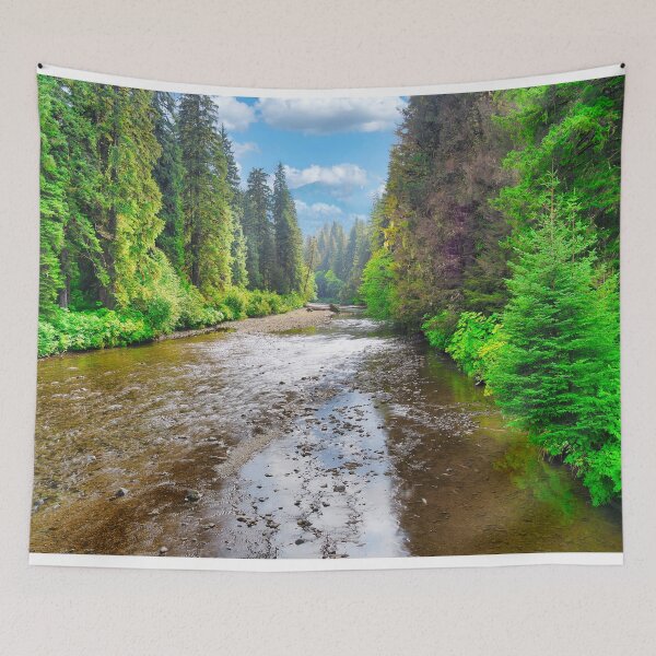 Item preview, Chichagof Island Alaska designed and sold by pcole123.