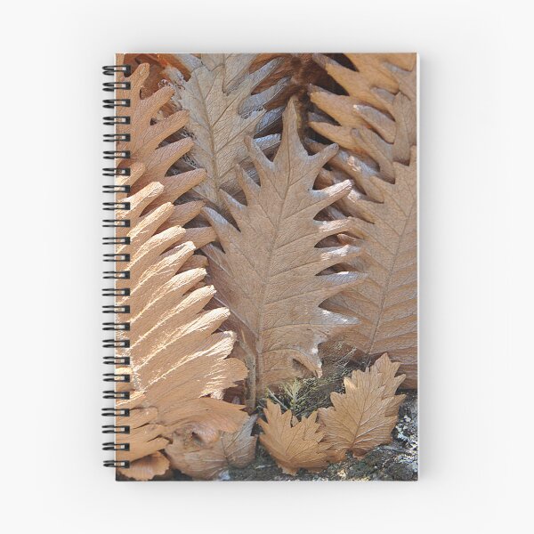 Item preview, Dried Fern Leaves on a lichen covered rock making wonderful patterns and warm brown colors.  designed and sold by IPPhotography.