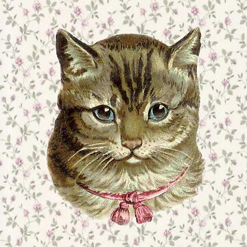 Coquette cat with floral wallpaper  Magnet for Sale by Pixiedrop