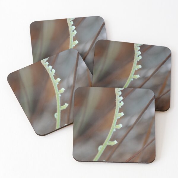 Item preview, New Growth fern frond designed and sold by IPPhotography.