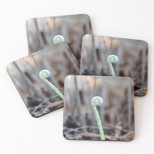 Item preview, New growth of a fren designed and sold by IPPhotography.