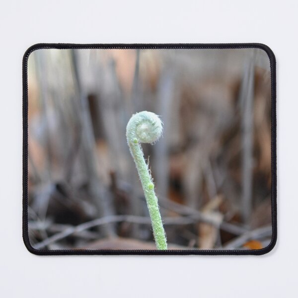 Item preview, New growth of a fren designed and sold by IPPhotography.