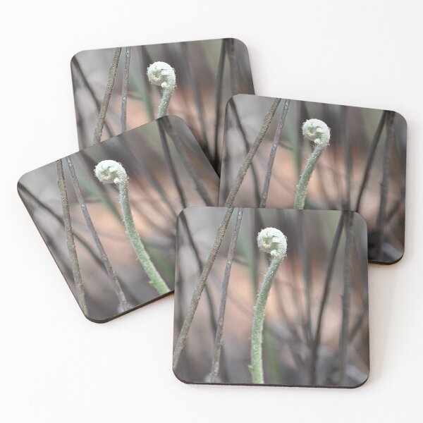 Item preview, New growth vertical of a fern frond designed and sold by IPPhotography.
