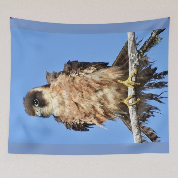 Item preview, Australian Hobby just after a dip in ocean designed and sold by Mark Grimsley.