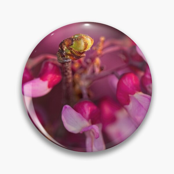 Item preview, Macros (31) designed and sold by Wolf Sverak Photography.