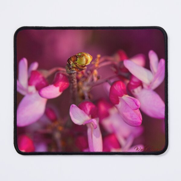 Item preview, Macros (31) designed and sold by Wolf Sverak Photography.