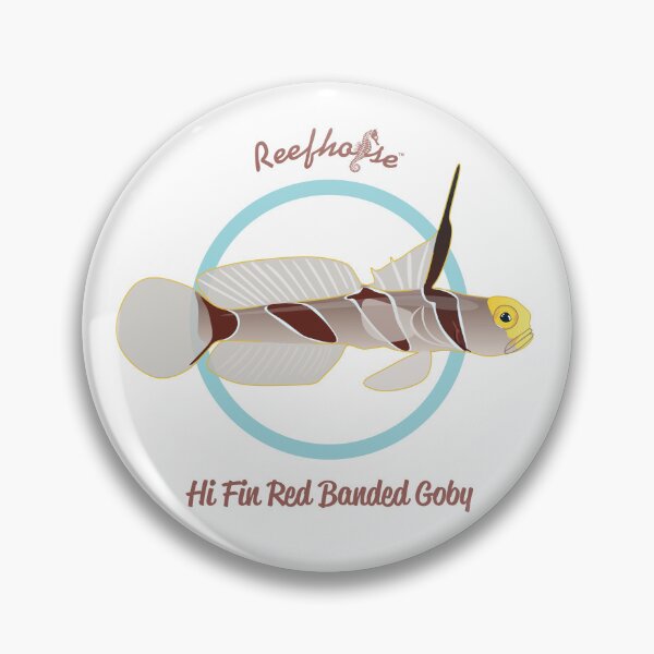 Item preview, Hi Fin Red Banded Goby designed and sold by KaplanCrypto.