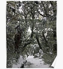 Narnia Poster