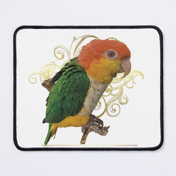 Item preview, The orange-headed caique designed and sold by obscurite.