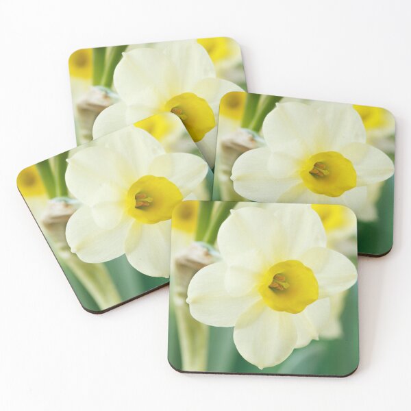 Item preview, Narcissus  'Pacific Coast'  AGM    Division 8 Tazetta Daffodil designed and sold by Chris Burrows.
