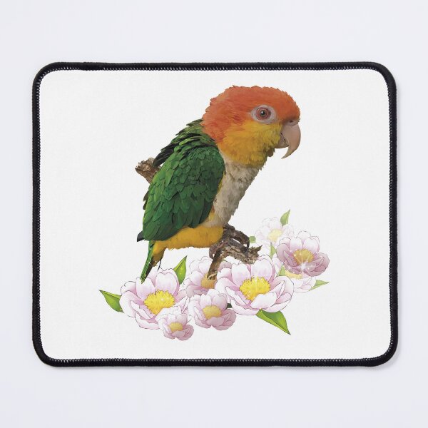 Item preview, The orange-headed caique designed and sold by obscurite.
