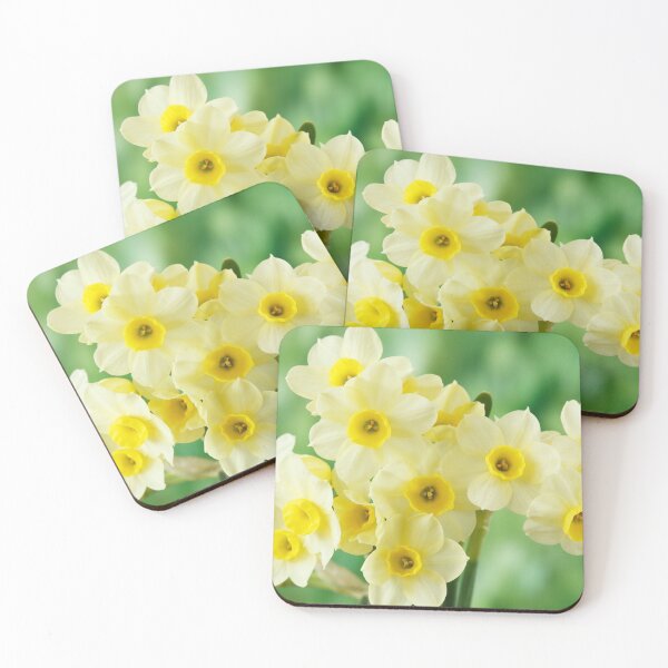 Item preview, Narcissus  'Pacific Coast'  AGM    Division 8 Tazetta Daffodil designed and sold by Chris Burrows.