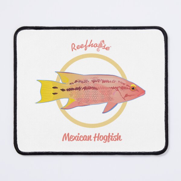Item preview, Mexican Hogfish designed and sold by KaplanCrypto.