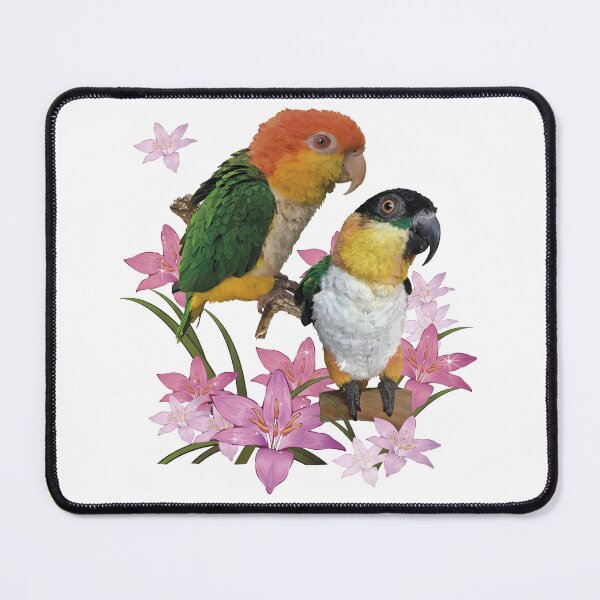 Item preview, Caiques designed and sold by obscurite.