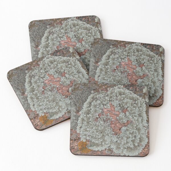 Item preview, Lichen on Red Textured Stone designed and sold by Honey Myrtle Studio.