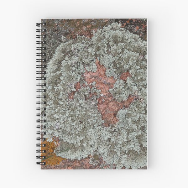 Item preview, Lichen on Red Textured Stone designed and sold by Honey Myrtle Studio.