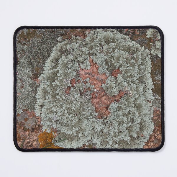 Item preview, Lichen on Red Textured Stone designed and sold by Honey Myrtle Studio.