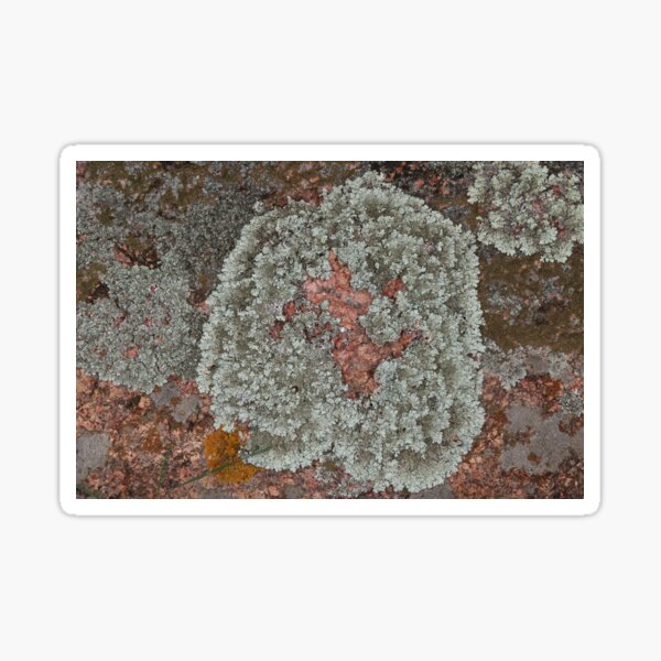 Item preview, Lichen on Red Textured Stone designed and sold by Honey Myrtle Studio.