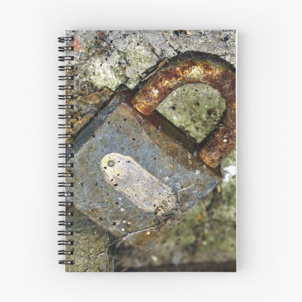Item preview, Old Padlock designed and sold by photobymdavey.