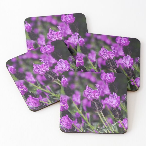 Item preview, Pink Lavender Flower On Display designed and sold by Joy Watson - Natural Light Photography .