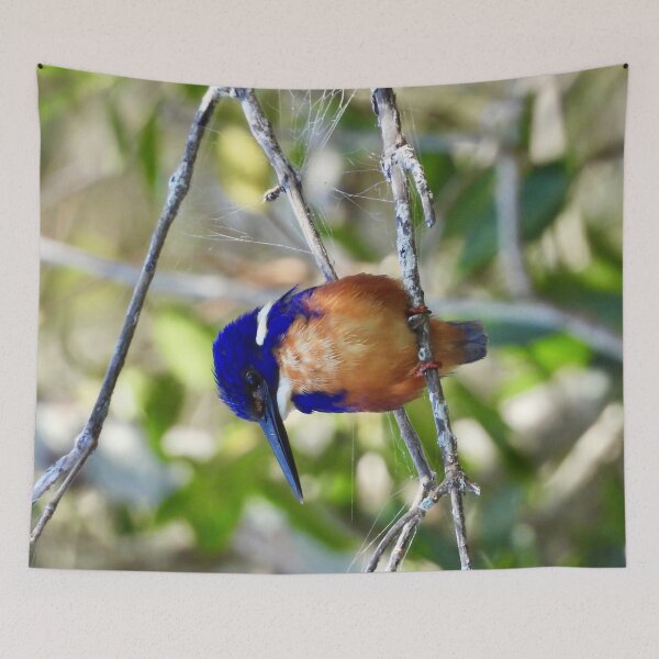 Item preview, Azure kingfisher on the look out  designed and sold by Mark Grimsley.
