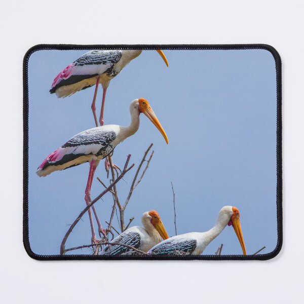 Item preview, Balancing Act designed and sold by upadhyay.
