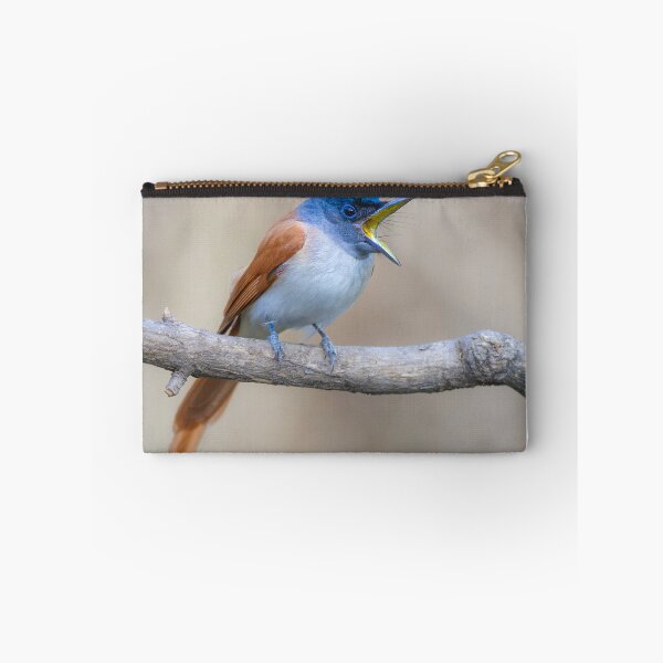 Item preview, Paradise flycatcher designed and sold by upadhyay.