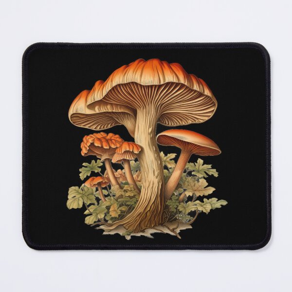 Item preview, Forest Mushrooms, eech mushroom vintage style ilustration designed and sold by Sunmoonlove.
