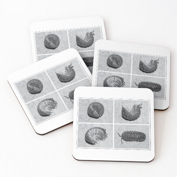 Item preview, Pill Bug Illustration designed and sold by Corner-Distro.