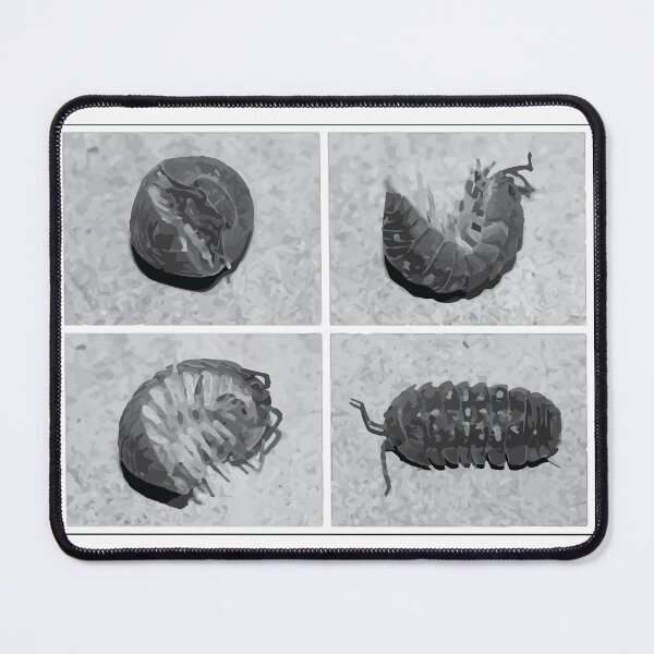 Item preview, Pill Bug Illustration designed and sold by Corner-Distro.