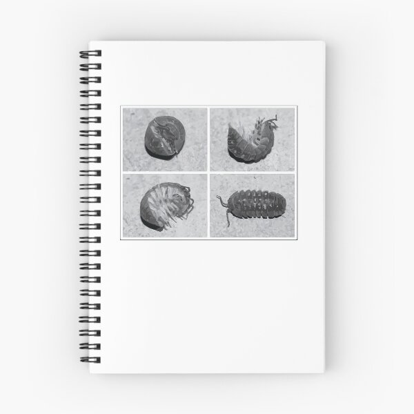 Item preview, Pill Bug Illustration designed and sold by Corner-Distro.