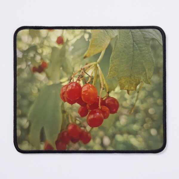 Item preview, viburnum berries designed and sold by psychoshadow.