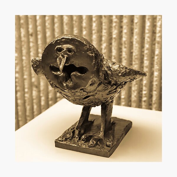 Angry Owl Photographic Print