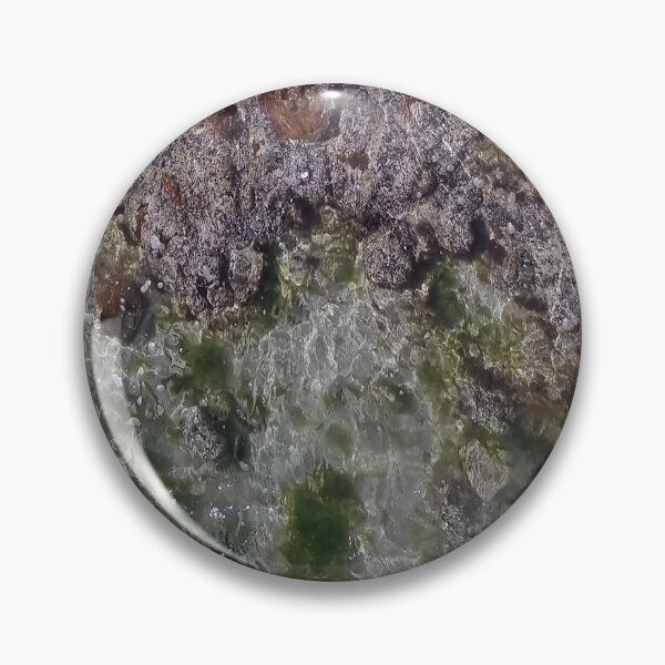 Item preview, Rock pools at the beach designed and sold by Louise-Carson.