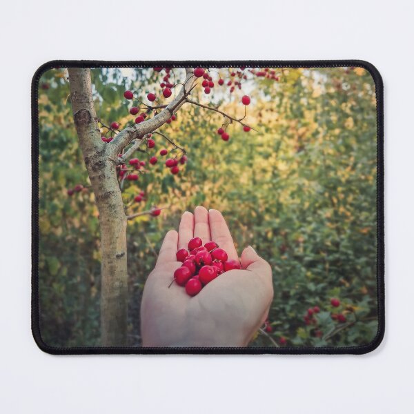 Item preview, picking hawthorn berries designed and sold by psychoshadow.
