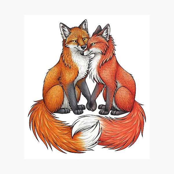 Item preview, Fox & Vixen designed and sold by lyndseygreen.