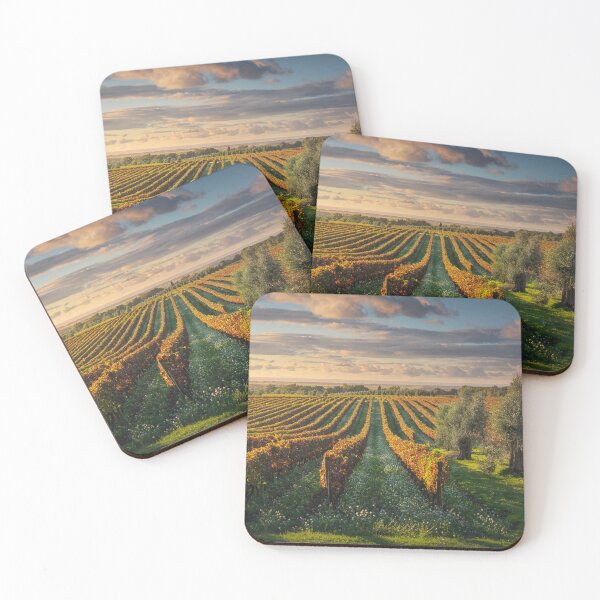 Item preview, Bolgheri vineyards and olive trees. Tuscany, Italy designed and sold by Stefano Orazzini.