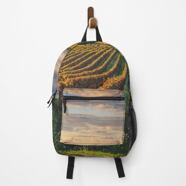 Item preview, Bolgheri vineyards and olive trees. Tuscany, Italy designed and sold by Stefano Orazzini.