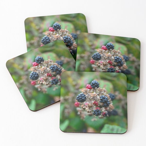 Item preview, Blackberries designed and sold by Ireland Photography.