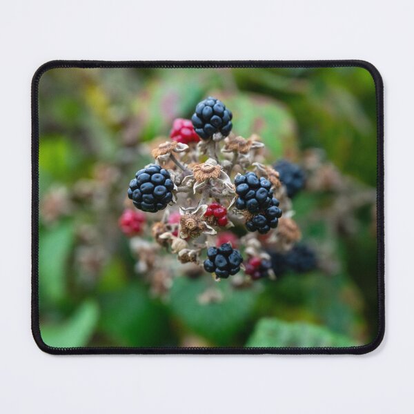 Item preview, Blackberries designed and sold by Ireland Photography.