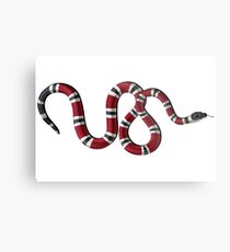 Horizontal Snake Metal Print