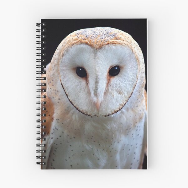 Item preview, Barn Owl designed and sold by Krys Bailey.