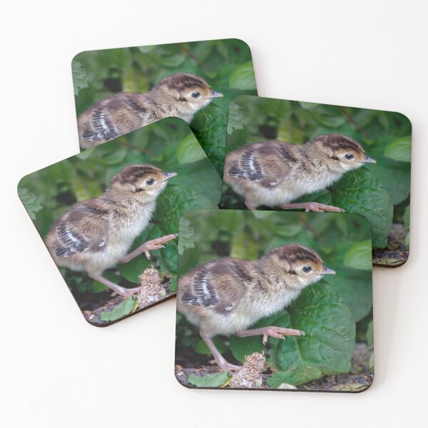 Item preview, Fezzlet designed and sold by Krys Bailey.
