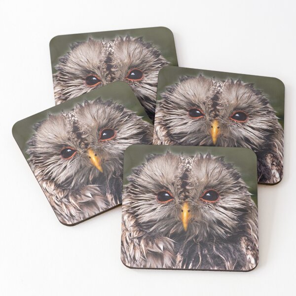 Item preview, Bedraggled designed and sold by Krys Bailey.