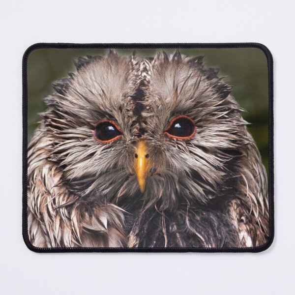 Item preview, Bedraggled designed and sold by Krys Bailey.