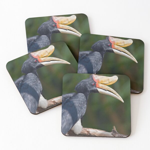 Item preview, I Love My Beak... designed and sold by Krys Bailey.