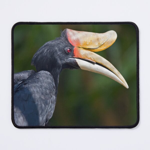Item preview, I Love My Beak... designed and sold by Krys Bailey.